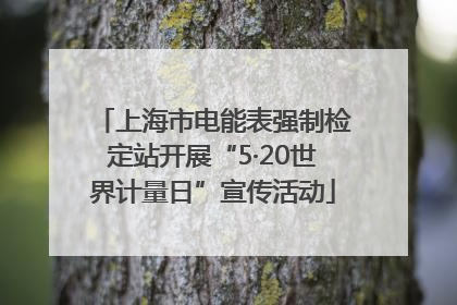 上海市电能表强制检定站开展“5·20世界计量日”宣传活动